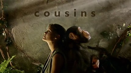 ВВС: Близкие родственники 1. Первые приматы