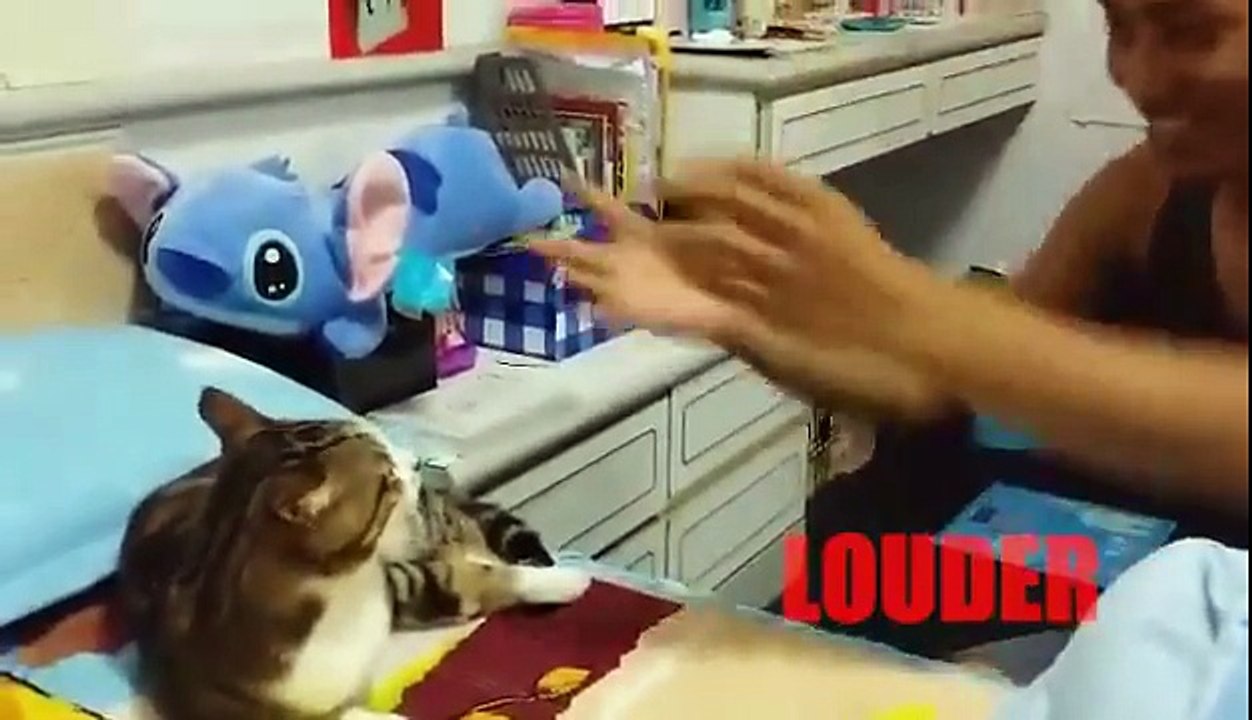 Ce chat entraîne sa voix en prenant des cours hahaha - cat Voice Training!