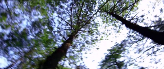 A Scandall - Hot Movie - ( Theatrical Trailer ) - Up Comming On 24th June , Full HD Video 2016-)