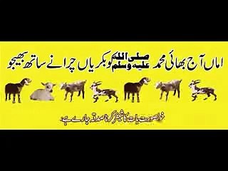hazrat muhammad saw ki zindagi ka waqia
