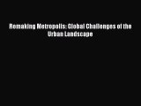 Read Book Remaking Metropolis: Global Challenges of the Urban Landscape E-Book Free