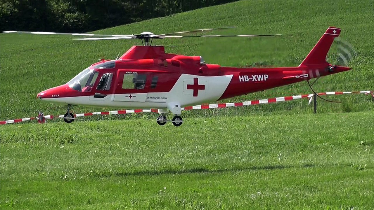 Heli-Divonne_2016