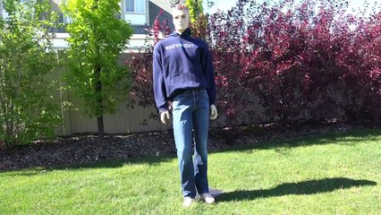 What's inside a Mannequin?