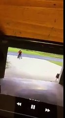 Un enfant fait un calin furtif au chien des voisins