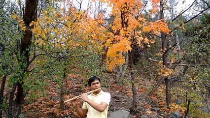 Ami Opar Hoye Boshe Achhi on flute