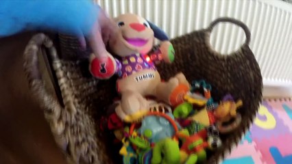 Dog and little baby plays with singing toy