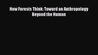 Read Books How Forests Think: Toward an Anthropology Beyond the Human E-Book Free