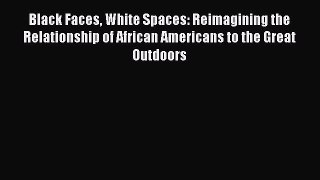 Read Books Black Faces White Spaces: Reimagining the Relationship of African Americans to the