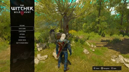 Live PS4-uitzending (34)