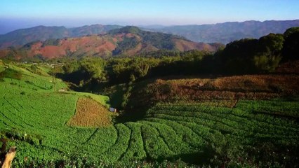 101 East - Myanmar’s Poppylands promo