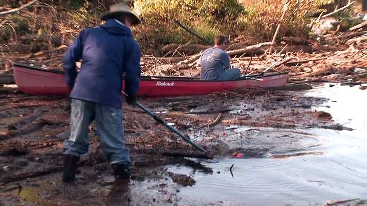 #WorldEnvironmentDay: Cox Enterprises Committed to Sustainability