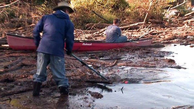 #WorldEnvironmentDay: Cox Enterprises Committed to Sustainability