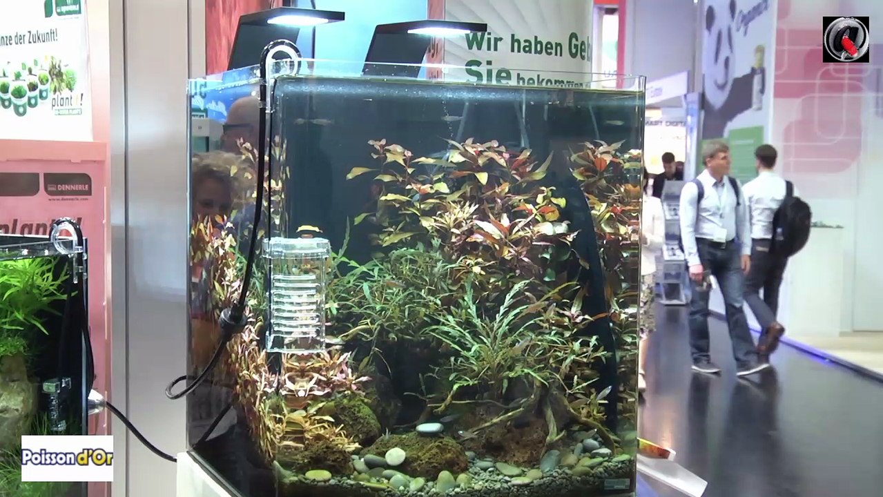 Interzoo 2016 Dennerle