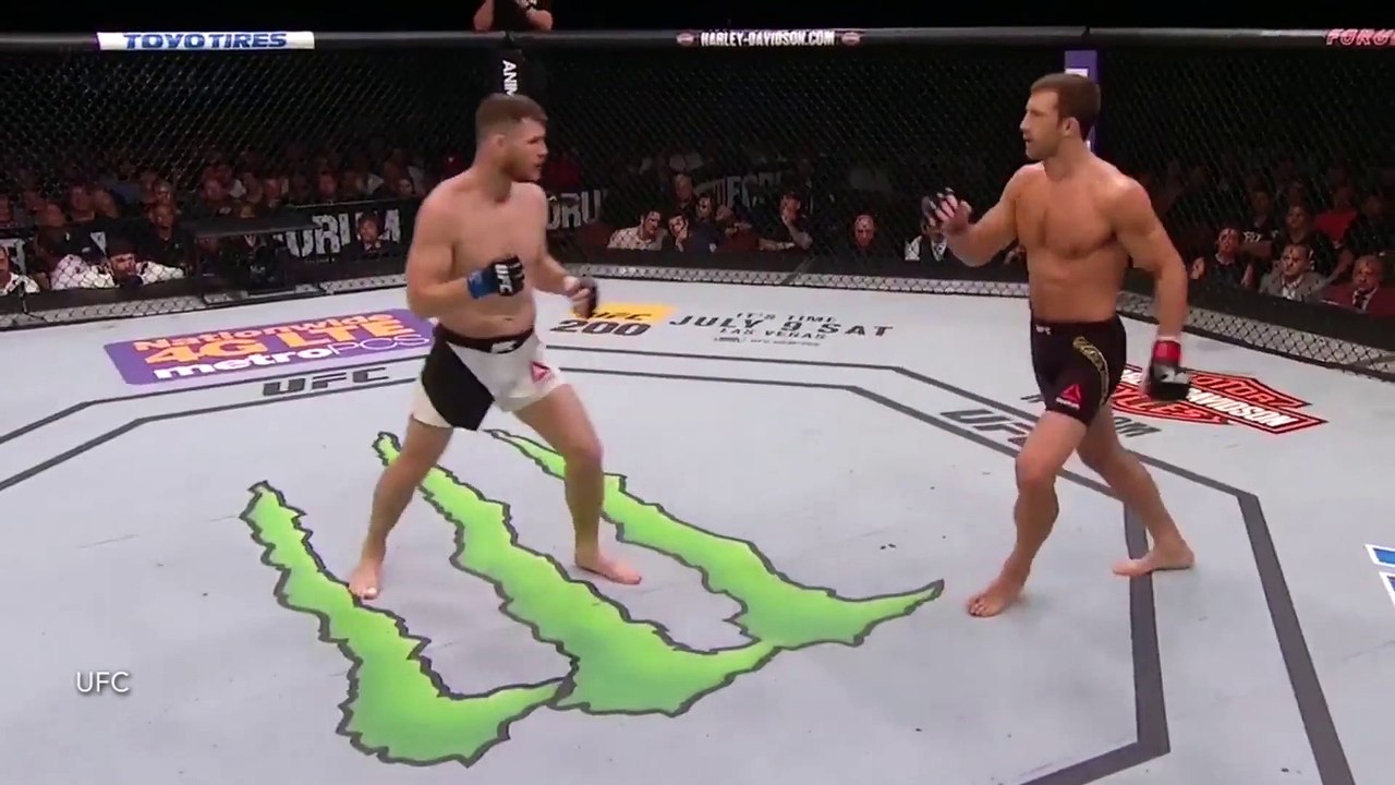 Michael Bisping Viciously KOs Luke Rockhold at UFC 199