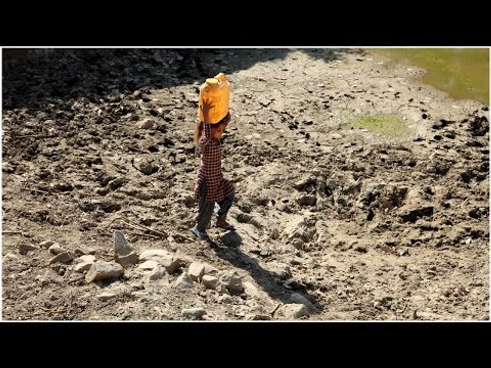 Rajasthan's Phalodi sizzles at record-breaking 51∞C