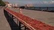 World's longest pizza || Viral Video