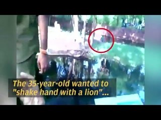 Man jumps into lion's enclosure in Hyderabad