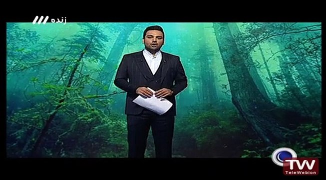 ماه عسل ۱۳۹۵ - قسمت ۱ - بخش اول