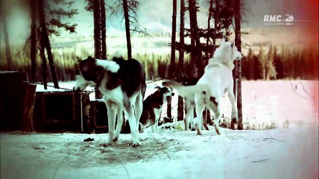 (HD) Bush alaska une nuit sans fin -RMC Découverte-
