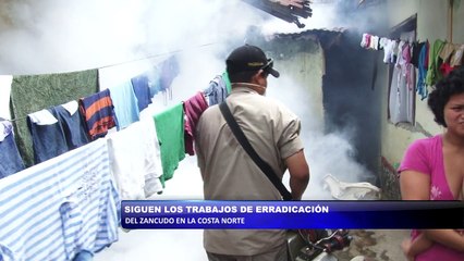 Siguen trabajos de erradicacion del zancudo en la costa norte