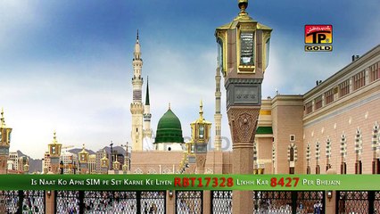 Mein Na Kuch Hota Magar - Raja Faisal Mehmood Sorhwardi New Naat