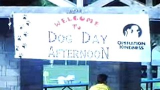 Operation Kindness Dog Day Afternoon