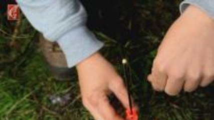 Praxis Tipp: Der Kletteraffe