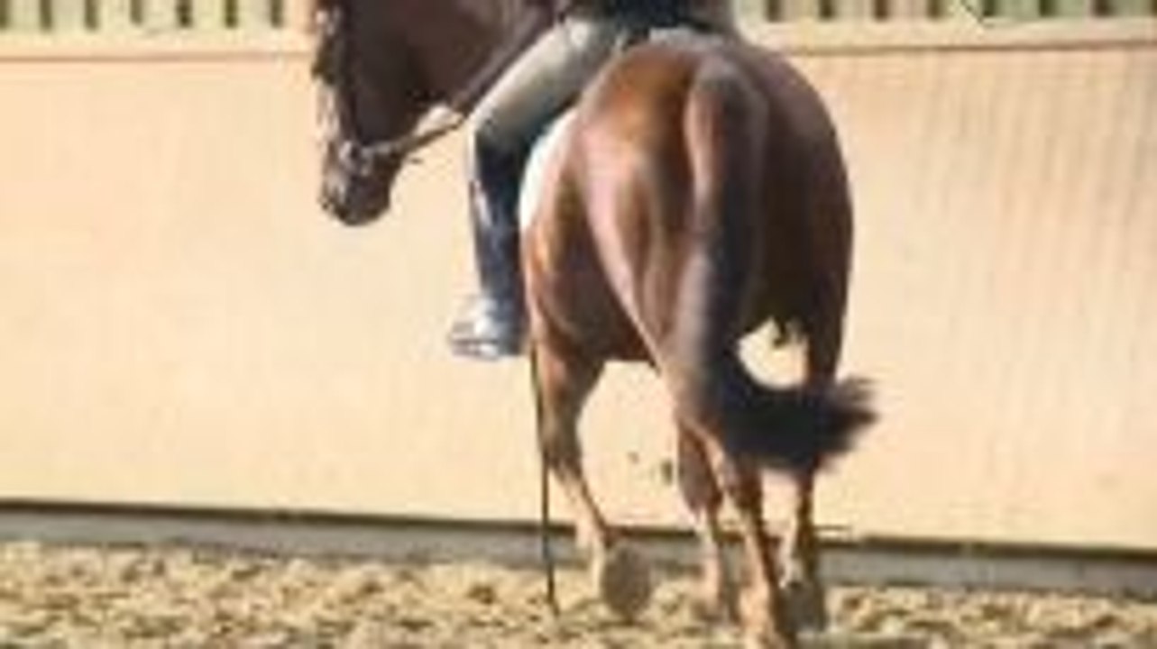 Straightness Training -  Part 2/3