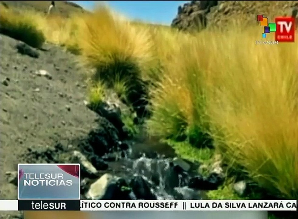Chile demandará a Bolivia ante La Haya por aguas del Silala