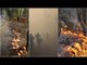 Massive fire in Uttarakhand forests