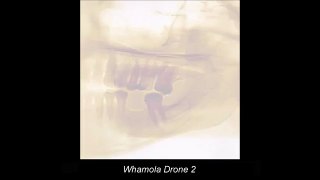 Whamola Drone 2