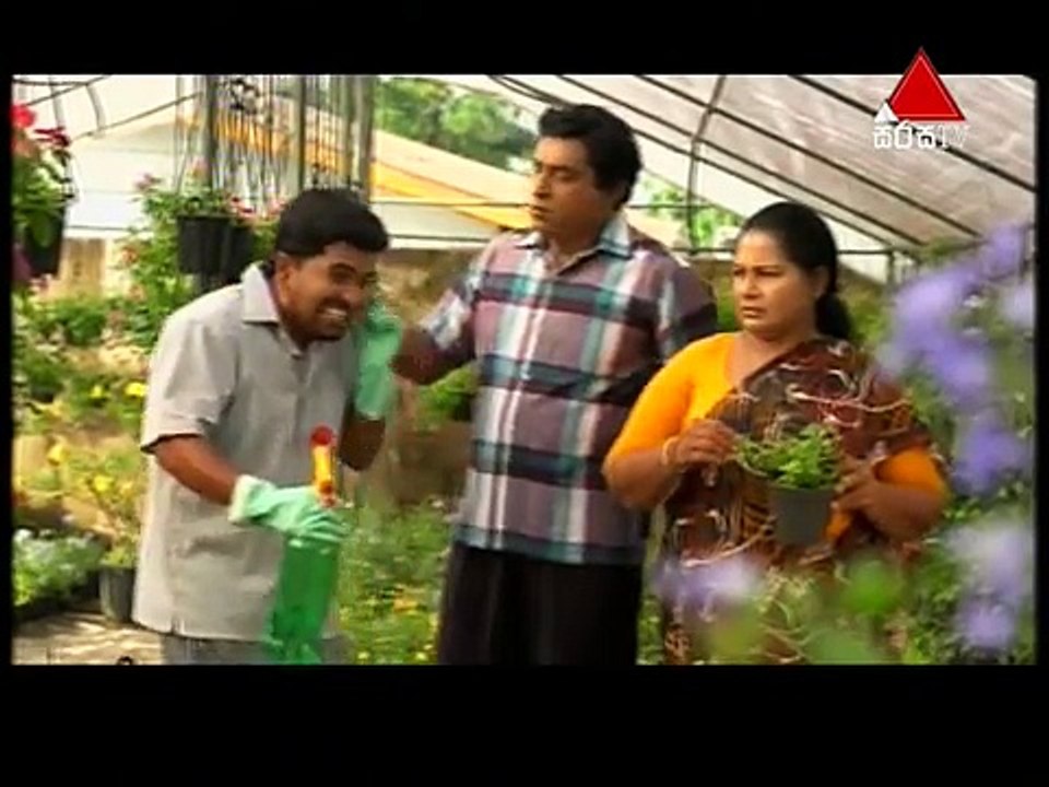 06Uthum Path06th June 2016