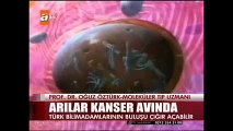 Arılar KANSER Avında - Propolis in faydaları