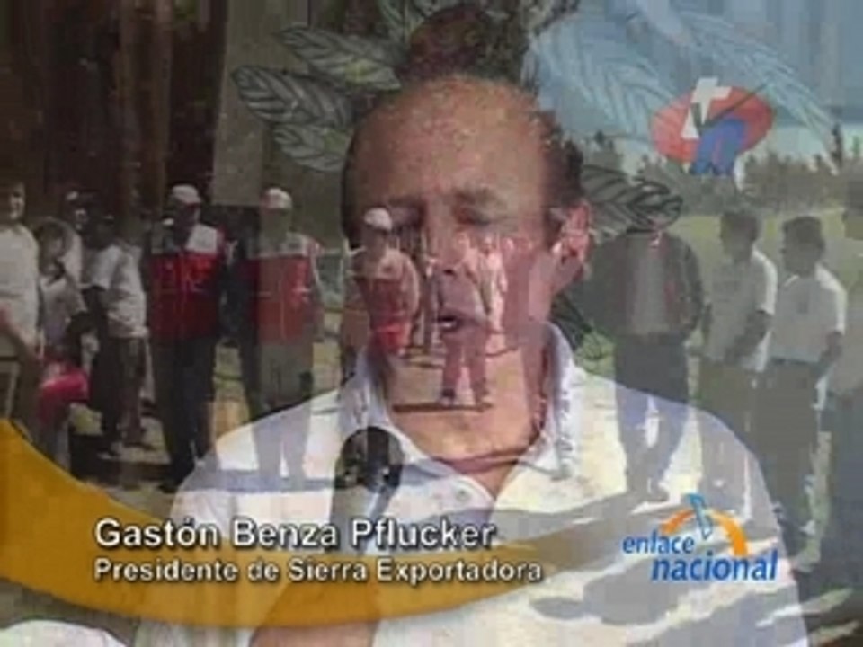 PRIMERA COSECHA - CAJAMARCA