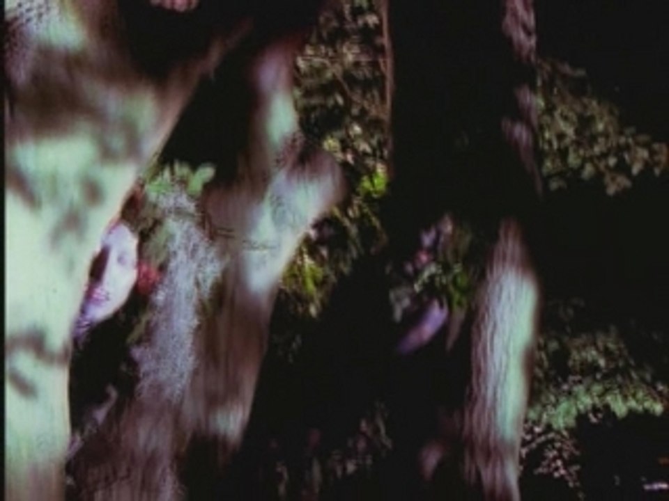 Enigma - Beyond The Invisible