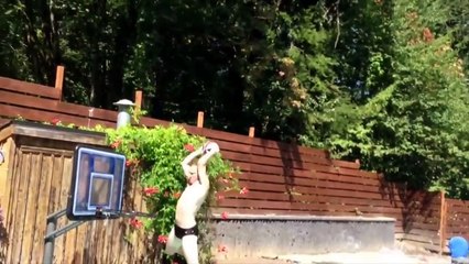 PEOPLE ARE AWESOME (Summer 2016 Edition) - YouTube