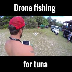 Drone fishing for tuna