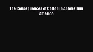 Read The Consequences of Cotton in Antebellum America E-Book Free