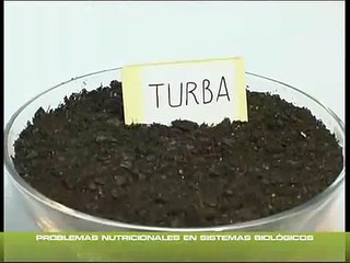 Cannabis Indoor. Tu Tienes la Llave (16 de 27)