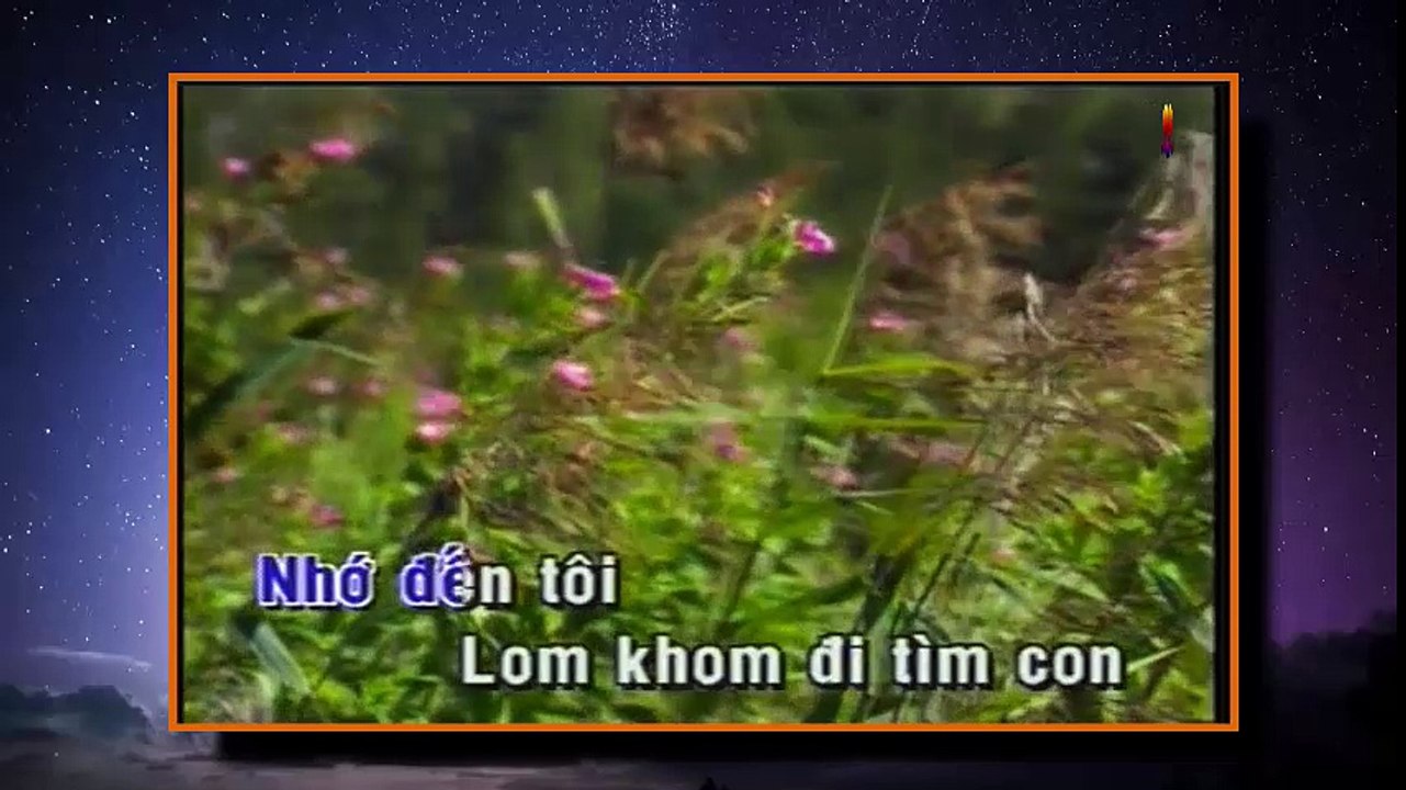 Karaoke Đường Xưa Lối Cũ - Tuấn Vũ