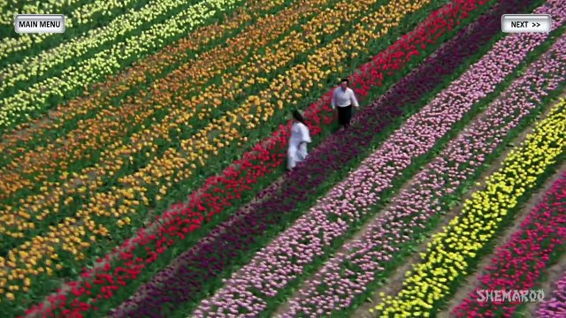 Prem Rog - All Songs - Rishi Kapoor - Padmini Kolhapure - Nanda - Lata Mangeshkar - Suresh