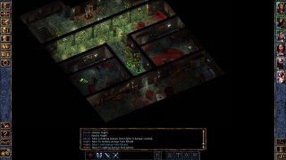 Baldur's Gate Enhanced Edition Part 428 - Cythandria