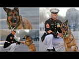 Wounded military dog awarded highest war medal in US