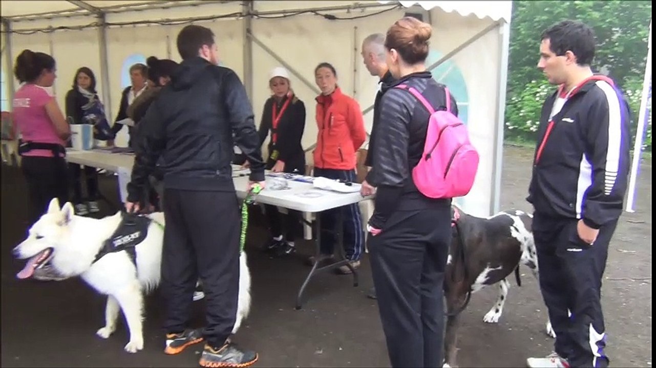 cani cross 2016