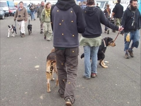 Tekos de bretagne 2007 st brieuc_0001