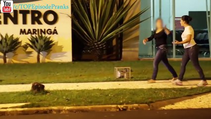 Funny video-Funniest Videos Pranks – The Funniest Prank – Pranks Best Funny GET OUT MY FACE!!!
