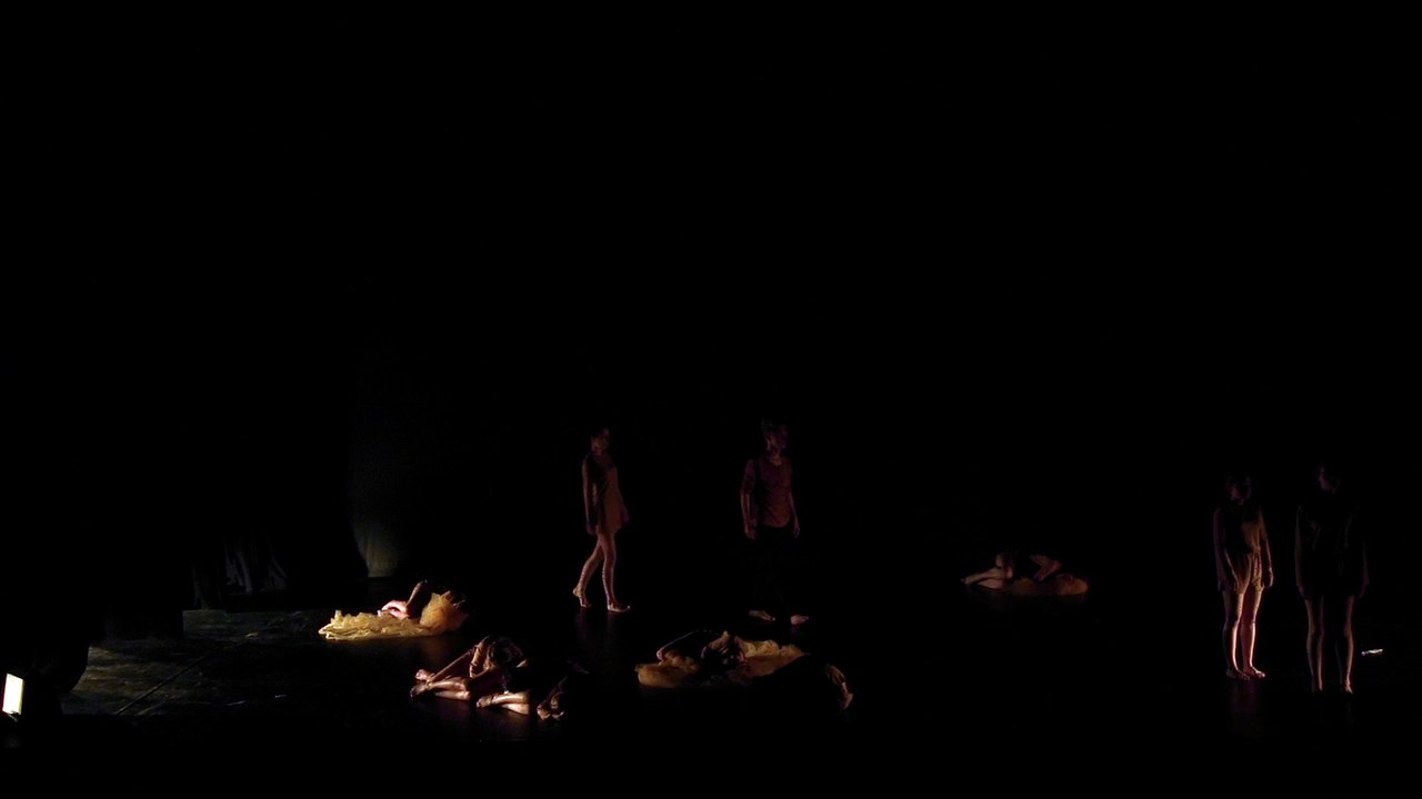 CF Danse Lycées 2016 TOULOUSE - Villefranche de Rouergue