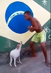 Very Funny Man and Dog Dancing