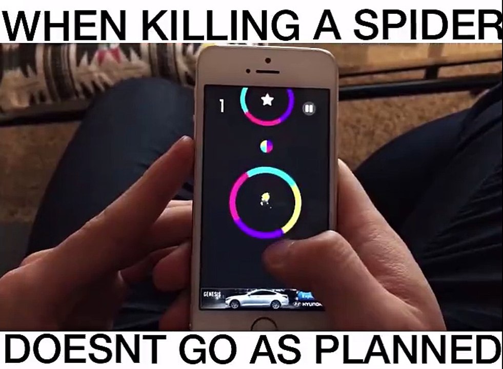 how to kill spider