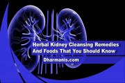 Herbal Kidney Cleansing Remedies And Foods That You Should Know